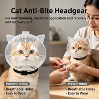 Casque anti-morsure transparent et respirant pour chat, cache-mâchoire pour chaton, capuche de protection pour toilettage, bouclier de sécurité pour coupe des ongles