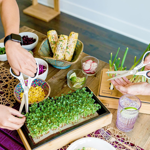 HAMAMA <span class=keywords><strong>Easy</strong></span> Setup Microgreens Growing Kit 3 Bandeja de cerámica Indoor s Mat Edredones Incluye Kale Broccoli Macetas - Product Image 5
