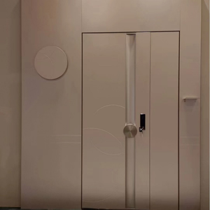 Porte d'entrée principale et extérieure fabriquée en Chine autres portes porte d'entrée de sécurité en fonte d'aluminium porte pivotante en acier - Product Image 1