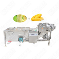 Automatische Groentewasmachine Commerciële Groente-En Fruitwasmachine Grote Groentewasmachine