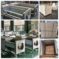Máquina Eléctrica para Lavar y Pelar Piel de Yuca y Patata, Cepilladora y Peladora para Limpiar Jengibre y Batata