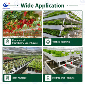 Nuovo Design ChenChao: Sistema di Coltivazione Verticale Ecologico con Vassoio di Raccogliacqua / Canale in Plastica per <span class=keywords><strong>Giardino</strong></span> Domestico - Product Image 4