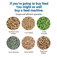 Ligne de production complète d'aliments pour animaux à haute efficacité, machine de fabrication d'aliments pour bétail et volailles pour usage agricole