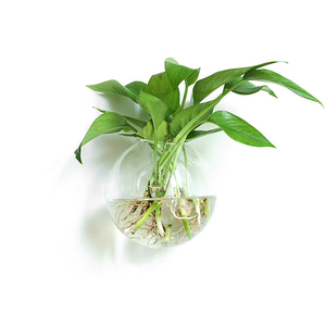 <span class=keywords><strong>Vasi</strong></span> in <span class=keywords><strong>Vetro</strong></span> <span class=keywords><strong>per</strong></span> <span class=keywords><strong>Piante</strong></span> Acquatiche Sospese - Product Image 4