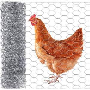 Kích thước tùy chỉnh 1/2 ''3/4'' lồng gà coops grillage lục giác hàng rào gà lục giác dây sắt mạ kẽm lưới - Product Image 2