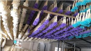 Vente en gros 50 pièces/bouquet d'herbe de queues de lapin <span class=keywords><strong>Lagurus</strong></span> ovatus séchée naturelle pour la décoration de la maison - Product Image 4