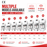 Mélangeur à spirale commercial 20L, bol 21L, capacité 8kg de farine, double vitesse, électrique, pour pâte à pain et pizza, équipement de boulangerie