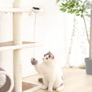 उठाने बिल्ली गेंद खिलौना बिजली इंटरैक्टिव पहेली स्वचालित स्मार्ट पालतू बिल्ली गेंद चिढ़ाने खिलौने पालतू बिजली की आपूर्ति उठाने बिल्लियों गेंदों - Product Image 2