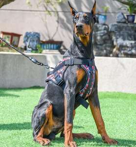 戦術犬用ハーネスセットカスタムパーソナライズトレーニング作業高級戦術犬用ベストハーネス - Product Image 1