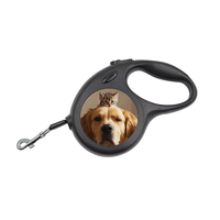Vente en gros Nouvelle arrivée Laisse rétractable pour animaux de compagnie personnalisée par sublimation Laisse personnalisée de 3m pour animaux de compagnie