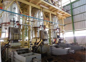 Nouvelle Conception de Machine d'Extraction d'<span class=keywords><strong>Huile</strong></span> de Palme, Machine de Traitement d'<span class=keywords><strong>Huile</strong></span> de Palme, Presse <span class=keywords><strong>à</strong></span> <span class=keywords><strong>Huile</strong></span> de Palme Rouge pour <span class=keywords><strong>Fruits</strong></span> de Palme en Indonésie - Product Image 4