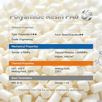 Résine de polyamide PA6 en granulés, qualité moulage par injection, plastique technique pour composants automobiles et industriels