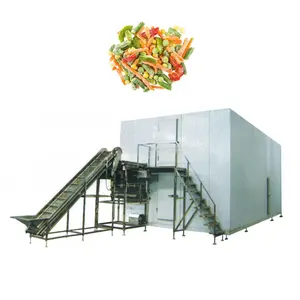 IQF frozen vegetables production line for vegetables and fruits