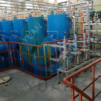 Ligne de traitement automatique intelligente de l'allulose avec capacité personnalisée, machines de chromatographie et de liquéfaction, marque YUAN