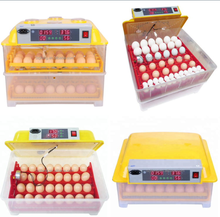 plastic incubator with 320 poultry eggs
