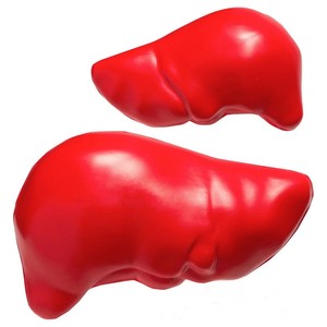 Customized Liver Shape Pu <b>Foam</b> Balls With Logo Printing Portable Stress Relievers - Product Image 1