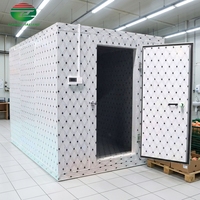Chambre froide mobile commerciale compacte de 10/20 mètres carrés avec grand conteneur congélateur pour la conservation des aliments frais – Équipement complet