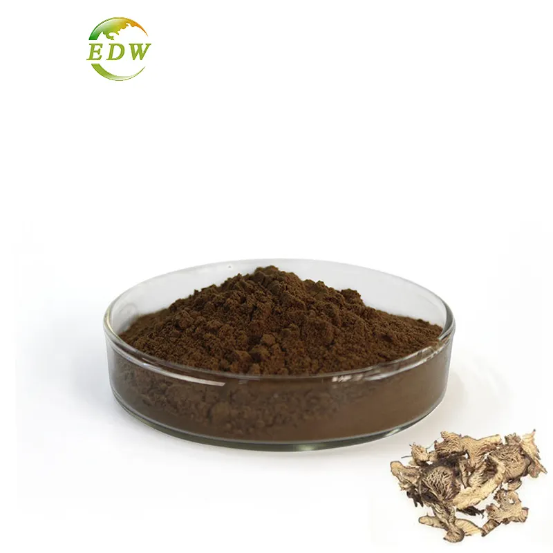 Black Cohosh Root Extract Triterpene Glycosides Powder Black Cohosh Extract For Health Supplement