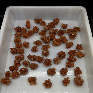 Grappe de cristal d'<span class=keywords><strong>aragonite</strong></span> naturelle, 1 pièce, irrégulier, minéraux rugueux pour la guérison, vente en gros - Product Image 2