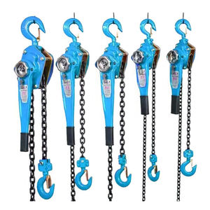 Vente chaude 1ton Levier Palan 1000kg Poulie Palan Ascenseur Manuel Grue Palan pour Usine - Product Image 1
