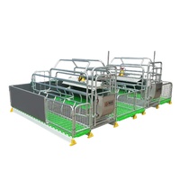Meilleures ventes : Équipement d'élevage porcin galvanisé à chaud – Cages de gestation pour truies