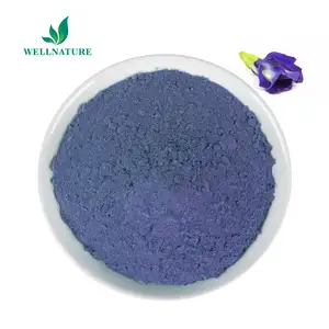 Wellnature suministro naturaleza mariposa guisante flor en Polvo azul Matcha mariposa guisante té en polvo