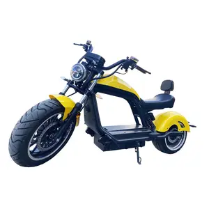 工厂无锡快速新款设计17 "3000W成人电动摩托车出售
