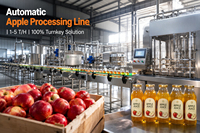 Professioneel turnkey project voor de verwerking van mango's/ananas