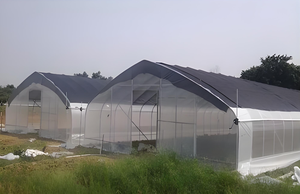 Serre <span class=keywords><strong>agricole</strong></span> en polytunnel en plastique, économique et compacte, à simple ou multi-chapelle, anti-goutte et anti-UV - Product Image 6
