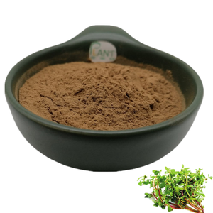 Ekstrak Herbal 10:1 ekstrak <span class=keywords><strong>Bacopa</strong></span> <span class=keywords><strong>Monnieri</strong></span> bubuk Bacoside <span class=keywords><strong>50</strong></span>% - Product Image 1