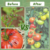 Plantengaas Bescherm Groente Fruitbomen Tuingaas Zakken Insectengaas