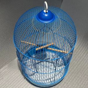 Köpek kafesi yüksek kaliteli dairesel kuş kafesi kolay kurulum kapalı açık kullanım için nefes demir şasi <span class=keywords><strong>Aviary</strong></span> asılı fabrika - Product Image 6
