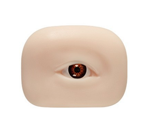 5D silicona tatuaje Microblading ceja práctica piel ojo modelo reutilizable realista pestañas práctica entrenamiento ojos párpado - Product Image 4