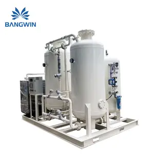 Bangwin PSA Oxygen Plant CE Certification Oxygen Gas Generator 95% High Concentration