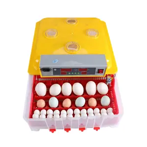 حاضنات بيض صغيرة عالية الجودة للاستخدام المنزلي من مورد في الصين تفقيس 36 بيضة دجاج للبيع/علبة تفقيس