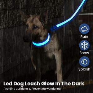 New Arrival Wholesale Illuminating Walking Night Glowing USB Rechargeable Led <b>Dog</b> Leash - Product Image 2