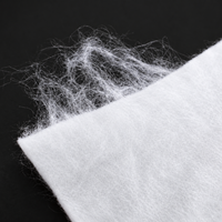 Géotextile non tissé aiguilleté en polyester, tissu géotextile en PET pour le drainage des routes et des décharges