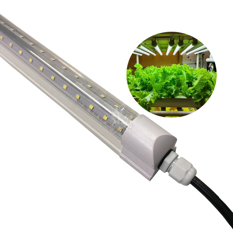 indoor garden leds grow light for microgreens hydroponic bloom growth