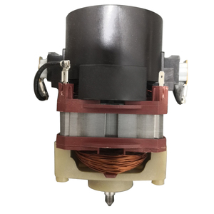 2025 Motor personalizado para Lidls Aldzs Karchers Einhells Todo tipo de repuestos de aspiradora de tamaño - Product Image 4