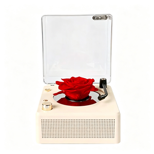 Altavoz con Diseño de Rosa y Luces LED, Lindo Altavoz Bluetooth para el Hogar, Fiestas, <span class=keywords><strong>Karaoke</strong></span> y Viajes, Sistema de Sonido Moderno - Product Image 4