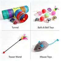 Ensemble de jouets interactifs pour chat en plastique avec tunnel, tente pliable, baguette à plumes et balles, pour jeu intérieur, vente en gros