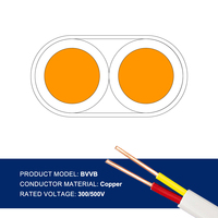 Câble gainé isolé en PVC à noyau de cuivre plat BVVB 450/750V à 2 conducteurs 1.5-4mm ²