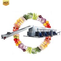 Séchoir industriel à fruits et aliments à bande transporteuse pour cardamome, tomates et dattes rouges – Vente directe usine