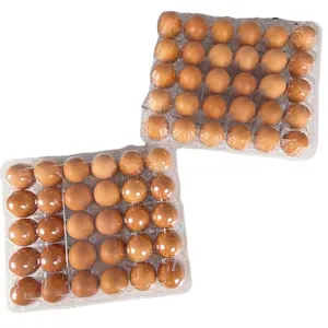 Cheap Price Qatar 4-8 Egg Tray Polythene Wrapping Machine