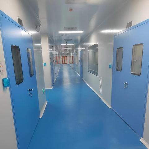 Gmp Ceiling Prefab Iso 8 Class 10000 Factory Turnkey Isolation Container Wool Customized Construction Dust Free Room Clean