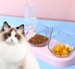 وعاء مزدوج أوتوماتيكي للشرب والتغذية للكلاب والقطط مع شحن ذاتي، مقاوم للرطوبة، مصنوع من البولي بروبيلين والبولي كربونات، أدوات للحيوانات الأليفة، الأكثر مبيعًا لعام 2026 - Product Image 6