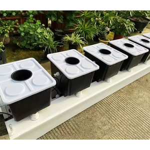 Pequeño sistema hidropónico agrícola de grado alimenticio para plantar tomate y pimiento Método holandés de barril - Product Image 2