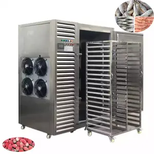 Hot Sale Ce Approved Commercial Automatic Small Chiller Blast Freezer Price