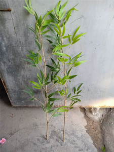 Plantas artificiales <span class=keywords><strong>de</strong></span> plástico, bambú <span class=keywords><strong>Artificial</strong></span>, bastones <span class=keywords><strong>de</strong></span> bambú bambooplástico para exteriores, bastones <span class=keywords><strong>de</strong></span> bambú amarillos - Product Image 3