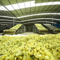 Machine de séchage automatique à bande transporteuse en maille, déshydrateur continu pour herbes agricoles et matières premières